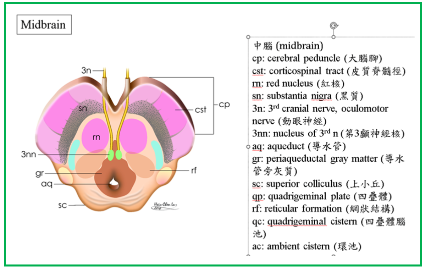 a267a9b35c53d5bcbb20b90374949d3d.png