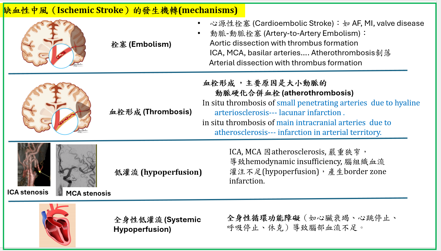 d883318c561dc4527be7a67329fd3905.png